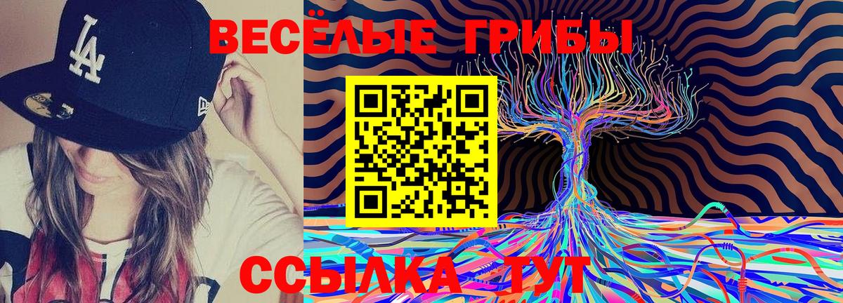 Галлюциногенные грибы прущие грибы Вязники
