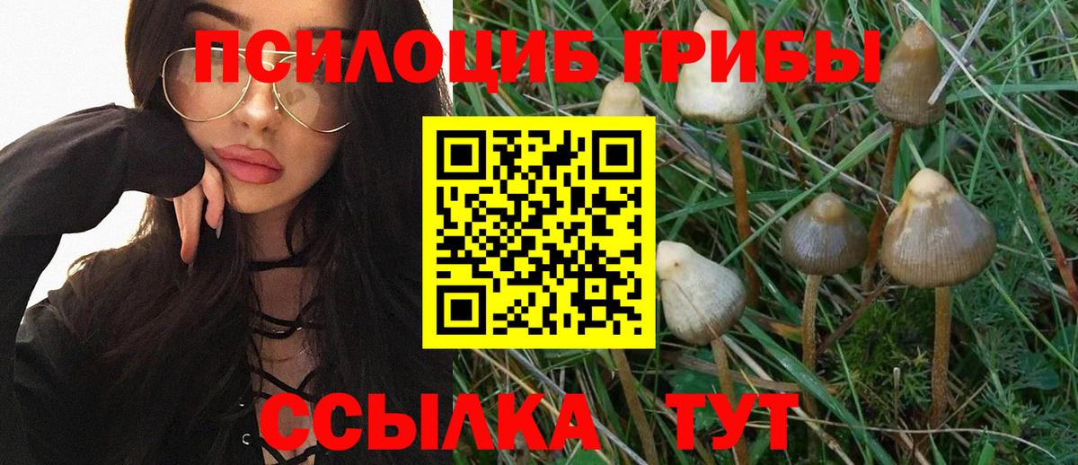 Галлюциногенные грибы GOLDEN TEACHER  Вход с VPN  Вязники  Галлюциногенные грибы Psilocybine cubensis 